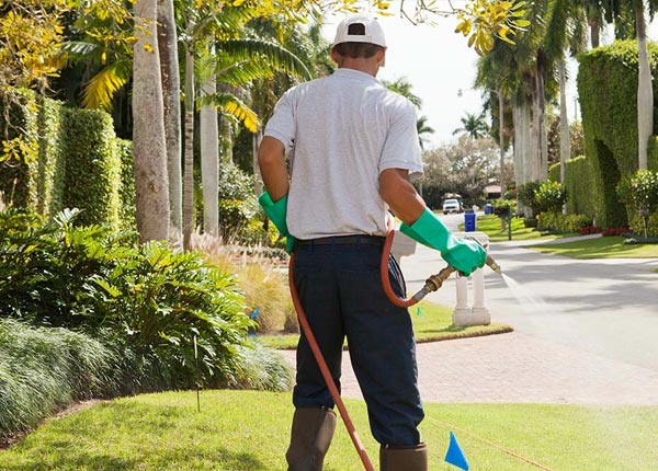 About Sage AR Pest Control Pros